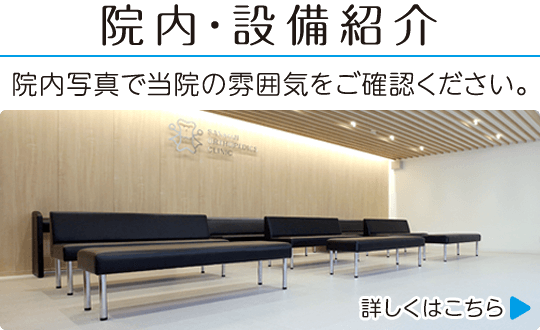 院内・設備紹介|院内写真で当院の雰囲気をご確認ください。詳しくはこちら
